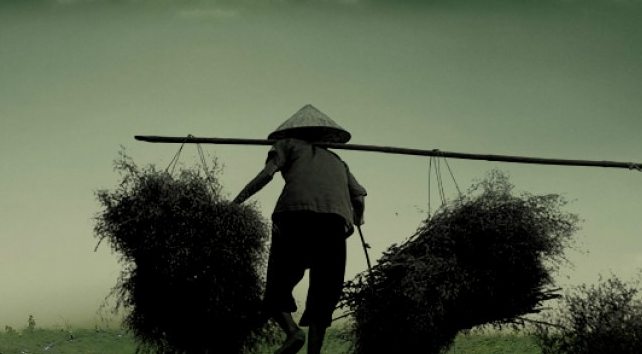 Tai gia bao nhieu lan cung la Ba me Viet Nam anh hung hinh anh