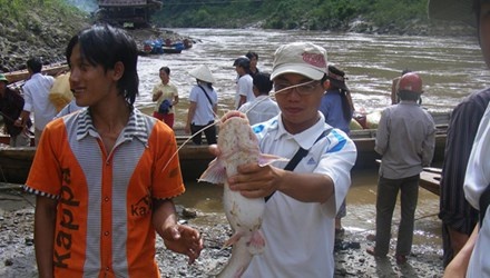 “Vựa” cá ở thượng nguồn Nậm Nơn đã giúp đồng bào nơi đây thoát nghèo.