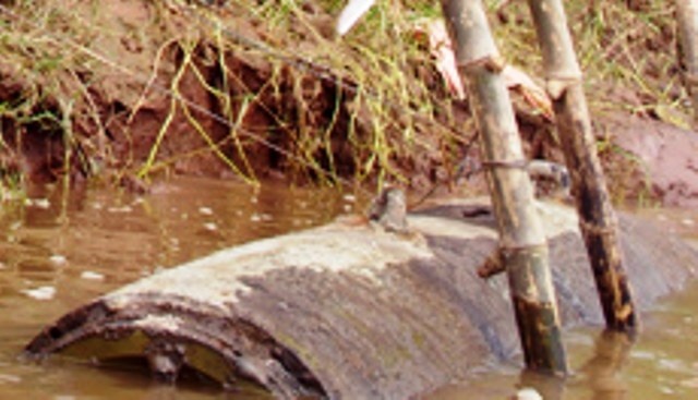 Phat hien qua bom nang khoang 1 tan duoi song hinh anh