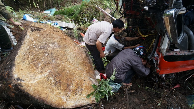 Nhân viên cứu hộ tìm cách đưa thi thể tài xế ra khỏi xe.