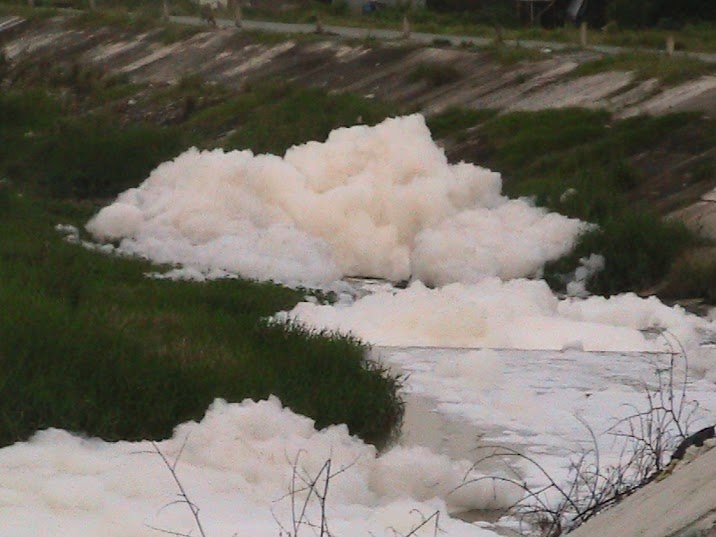 Tuy nhiên, từ ngày 4- 8 đến nay, tại đây thường xuyên xuất hiện những mảng bọt trắng trên mặt kênh, nước đục ngầu và đặc quánh mùi hôi thối, kéo dài từ đoạn miệng cống chạy qua Tỉnh lộ 43 đến cuối dòng, khoảng 1km.