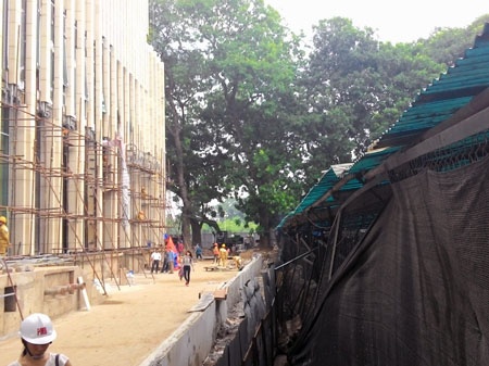 Lam ro trach nhiem bao ve Hoang thanh Thang Long hinh anh