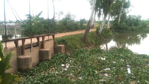 Nghi an ba bau 8 thang bi sat hai, vut xac tren song hinh anh