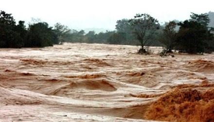 Me dan con di nhap hoc bi nuoc lu cuon troi hinh anh