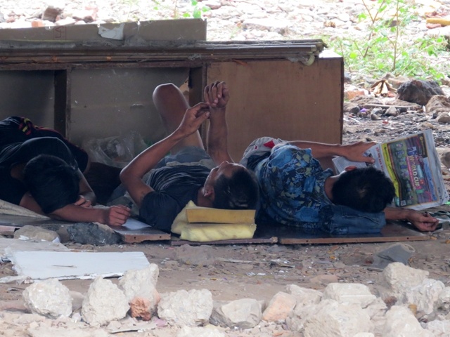 Chich ma tuy, song bay dan duoi gam cau Hai Phong hinh anh