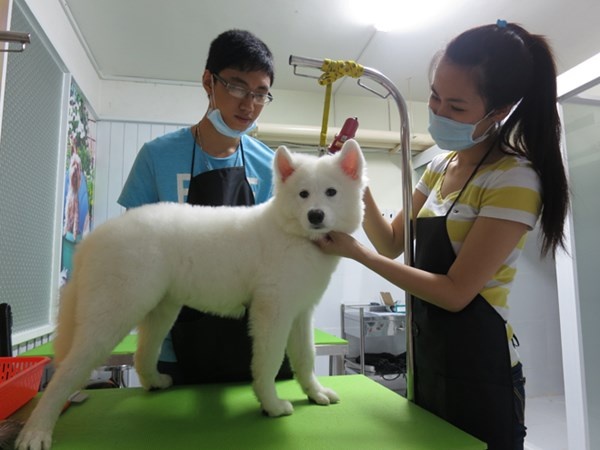 Chi 18 ty dong de lam khach san 5 sao cho… thu cung hinh anh