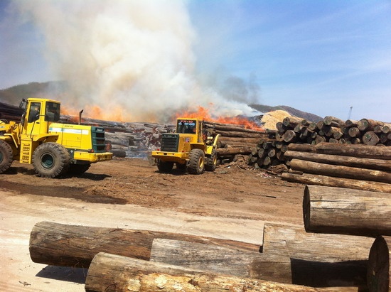 Thông tin ban đầu cho biết, đám cháy phát ra từ một đống gỗ tròn, dài hàng chục mét ở phía Tây trong khu vực sân Cảng. Không được khống chế kịp, gặp gió lớn, đám cháy thiêu rụi hàng trăm mét khối gỗ rồi cháy lan sang các đống gỗ lân cận và đống dăm gỗ rất lớn nằm kế bên.  Lúc này, hàng chục xe chữa lửa chuyên dụng của cảnh sát PCCC, các doanh nghiệp, đơn vị, cùng hàng trăm người tham gia chữa cháy. Tuy nhiên, lửa vẫn đang lan rộng. Các xe chuyên dụng trong khu vực Cảng đã được điều động để bốc dỡ gỗ, cách ly đám cháy.  Hiện tại (15h), gió ngoài trời đang tiếp tục thổi mạnh nên việc dập tắt lửa trở nên rất khó khăn.
