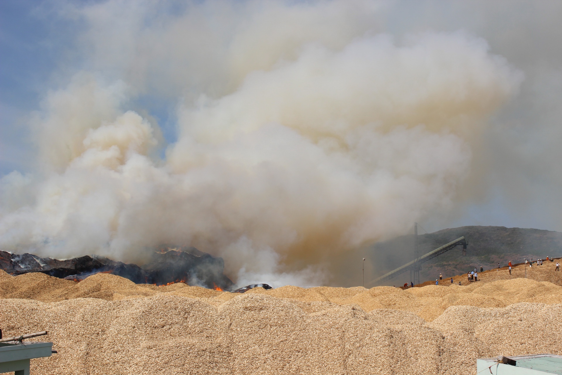 Nhận được tin báo, Phòng Cảnh sát PCCC Công an tỉnh Bình Định đã điều nhiều xe chữa cháy cùng hàng trăm cán bộ, chiến sĩ đến chữa cháy. Tuy nhiên, do thời tiết nắng nóng, gió lớn, điểm cháy lại bùng phát nhanh và quá lớn nên sau gần 3 giờ vẫn chưa dập được lửa.