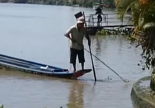 Do xo chich dien tan diet ca phong sinh hinh anh