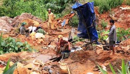 Ve noi don co nguoi trung dam 16 kg vang hinh anh