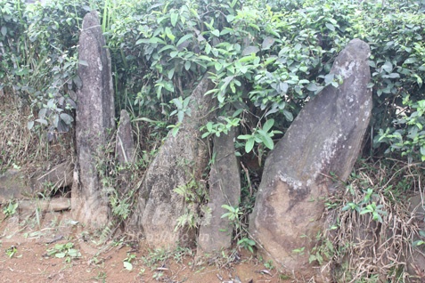 Nghia dia bi an chon nhung nguoi bi ho vo ben song Ma hinh anh