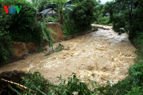  Ngoài ra, mưa lũ đã gây thiệt hại nhiều diện tích hoa màu, hệ thống kênh mương, ngập úng nhiều điểm trên quốc lộ 4D, gây ách tắc giao thông và đe dọa tính mạng và tài sản của 25 hộ dân sinh sống dưới hạ lưu thuộc các bản Thác Tình, Thác Cạn và Mường Cấu (thị trấn Tam Đường).