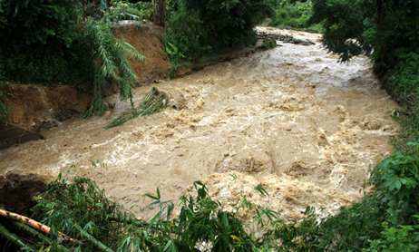 Lu ong cuon troi 5 nguoi trong mot gia dinh hinh anh