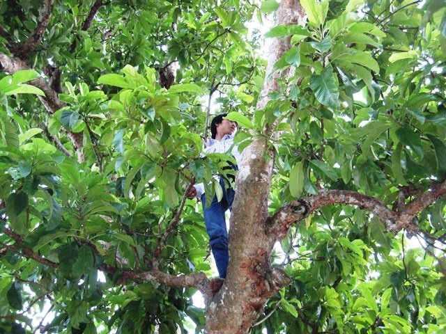 5 nguoi nhap vien do an qua so cham tuong hinh anh