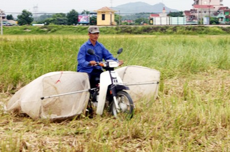 Dung xe may vot chau chau, kiem bac trieu moi dem hinh anh