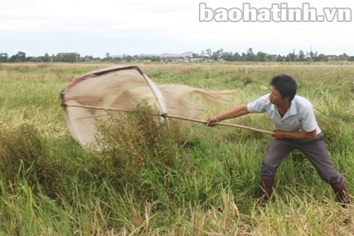 Để vợt được chấu suốt mấy giờ đồng hồ không hề đơn giản vì phải có sức khỏe và phải quen tay.