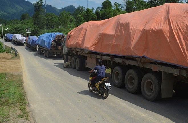 Hon 100 xe cho go qua tai un u tai cua khau hinh anh