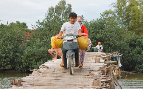 Cầu Bến Gỗ (bắc ngang sông Hà Thanh nối tổ 62, khu vực 7, phường Nhơn Bình, TP. Quy Nhơn với thôn Phổ Trạch, xã Phước Thuận, huyện Tuy Phước, Bình Định).