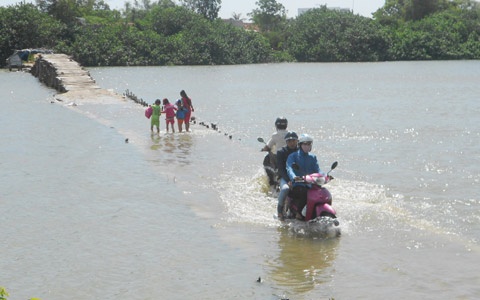 Nin tho qua cay cau 'co mot khong hai' o Viet Nam hinh anh