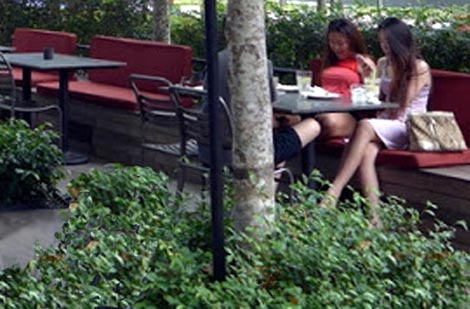 Với các cô “thợ câu”, Việt kiều càng già càng dễ “câu”.