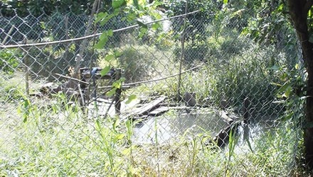 Thuc hu chuyen 'kho bau' chua 1,5 tan vang o Dong Thap hinh anh