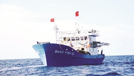 Vay ca tren tau vo thep dau tien giua Hoang Sa hinh anh