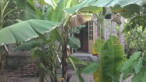 To truong to bao ve ngan hang Sacombank treo co tu tu hinh anh