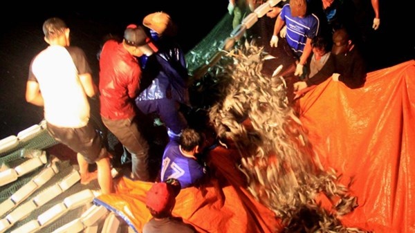 Mẻ lưới trong đêm mưa giật, sóng lớn.