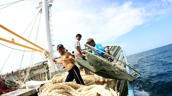 Dan tran giua Hoang Sa hinh anh