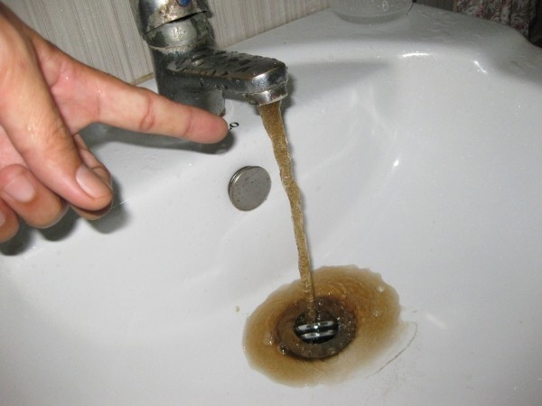 Hang trieu dan do thi uong mam benh moi ngay hinh anh