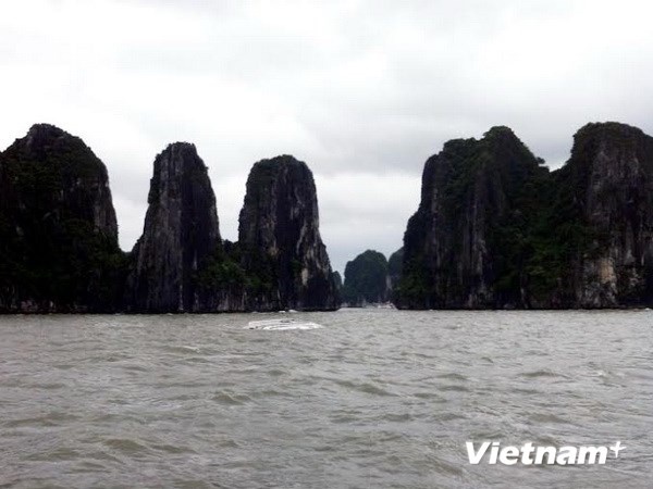 Tàu nghỉ đêm Tùng Trang bị chìm giữa vùng biển Ba Hang và Hòn Gà Chọi.