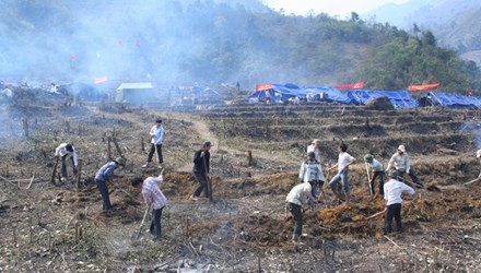 Chuyen ke o canh dong ma hinh anh
