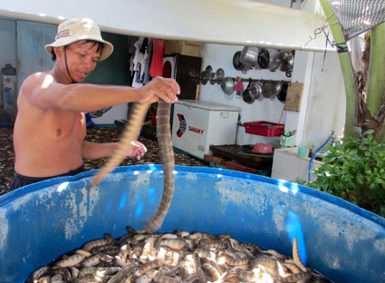 Mot san ran bien lam moi nhau: Nguy hiem ma van ham hinh anh