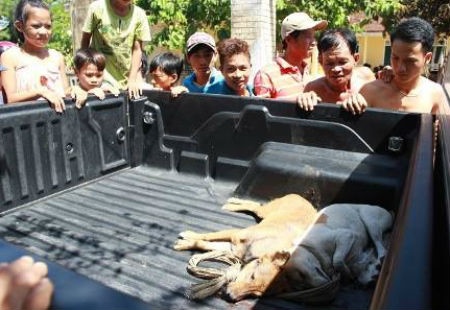 Mai phuc tai lo, cong an bat 2 ten trom cho hinh anh