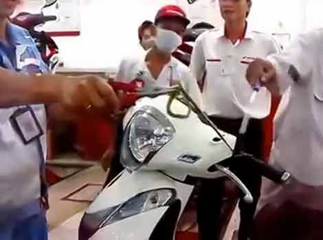 Clip loi ran luc doc nap trong dau xe may SH hinh anh