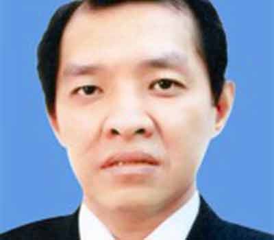 TP.HCM tam dinh chi dai bieu HDND bi tam giam hinh anh