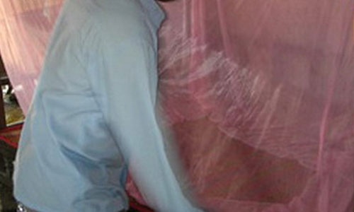 Thuc hu chuyen ma nhot hoanh hanh Long An hinh anh