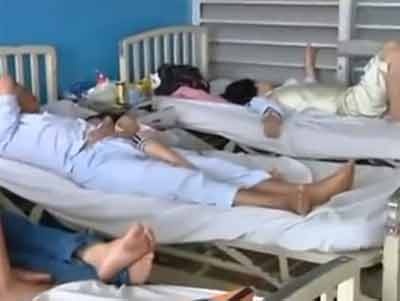 Mua cao diem sot xuat huyet tai TP.HCM hinh anh