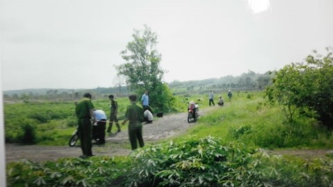 Su dan dung vung ve tu A den Z cua 'ky an vuon mit' hinh anh