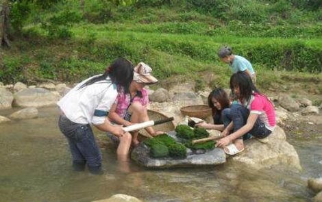 Bi an ve thung lung truong sinh va mon an tu loai ky thao hinh anh