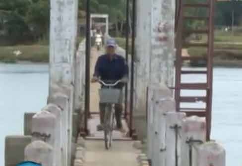 Tham canh tu cay cau mang ten 'vinh biet' hinh anh