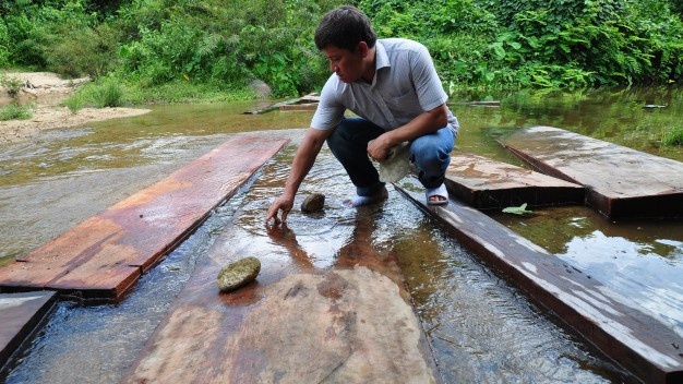 Pha rung cho lu hinh anh