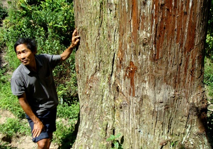 Than phan ‘cay uop xac’ khong lo o Tay Con Linh hinh anh