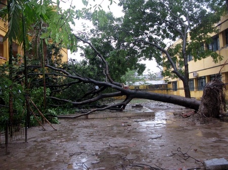 Cay do trong gio chao co de len 6 hoc sinh hinh anh