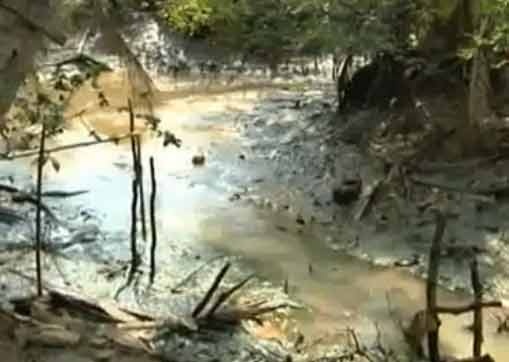 Hang ngan ho dan TP.HCM keu cuu vi thieu nuoc sach hinh anh