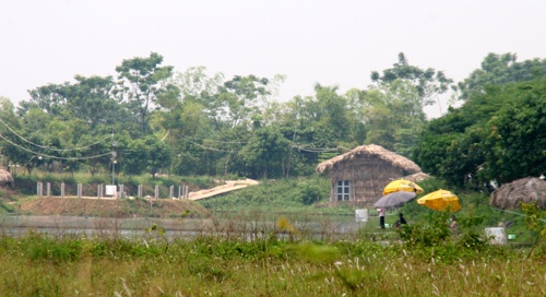 Nhắc tới khu bãi giữa sông Hồng, không thể không nói tới dịch vụ câu cá giải trí. Các khu hồ câu ở đây mọc lên như nấm. Ngày nay, đi câu cá đang trở thành thú vui, giải trí của nhiều người, không kể tuổi tác hay nghề nghiệp.