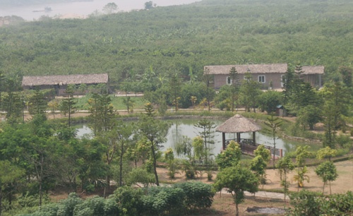 Cảnh quan cây xanh, mặt nước được đầu tư bài bản.