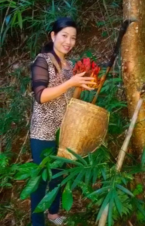 Cô giáo Hoàng Thị Tuyết Minh trực tiếp đi hái nấm hết pì lìn trong rừng.