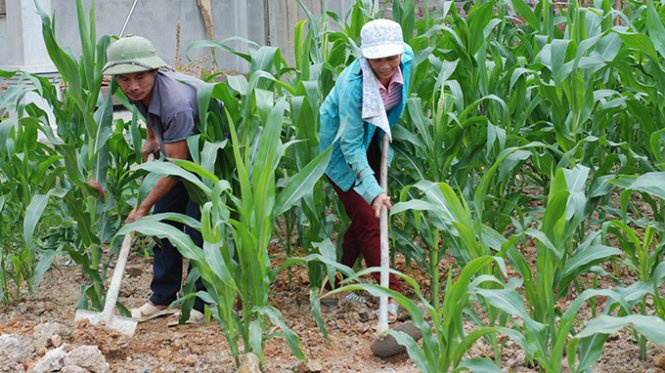 Nhung nguoi linh Gac Ma bay gio hinh anh