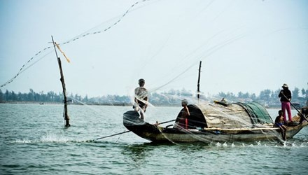 Rua bien quy hiem lac vao pha Tam Giang hinh anh